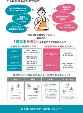 ENEW－痩せホルモン A4POP