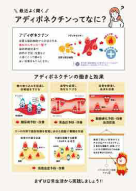 ENEW－アディポネクチン A4POP