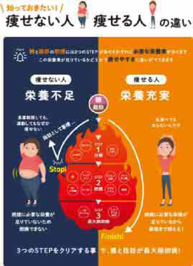 ENEW－痩せない人痩せる人の違い A4POP